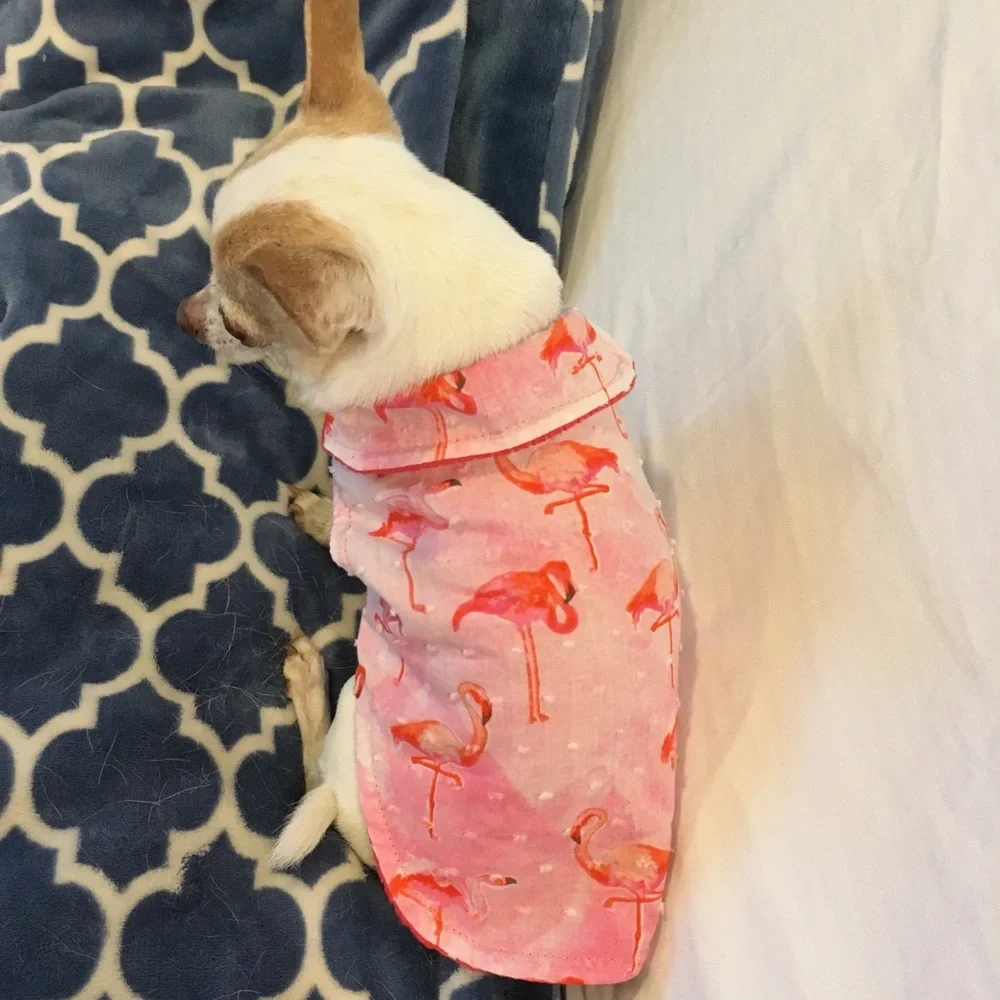 Reversible flamingo print dog jacket 💕